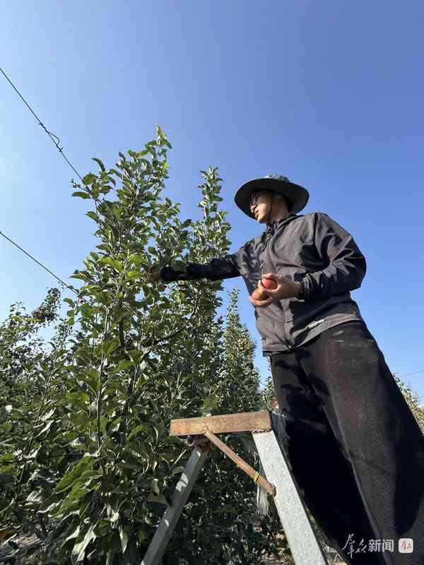  三秦大地科技小院遍地开花，青年学子深耕一线；青春力量助力乡村蝶变。 教育招生