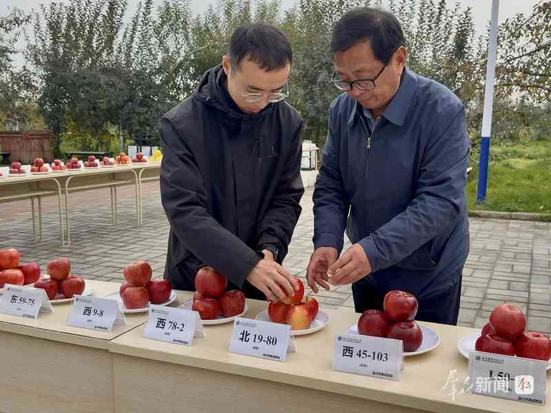  三秦大地科技小院遍地开花，青年学子深耕一线；青春力量助力乡村蝶变。 教育招生