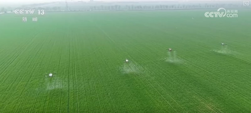 冬小麦返青关键期来临,多地强化三重防线;田间管理有序推进,夏粮生产基础不断夯实。 新闻 冬小麦返青关键期来临,多地强化三重防线;田间管理有序推进,夏粮生产基础不断夯实。 新闻