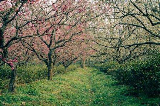 房产政策温暖民心；绍兴多措并举助力安居梦，一线劳动者与多孩家庭同受益。