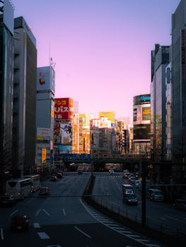 秩序神话渐行渐远；低成本碰撞行为折射日本都市生活隐忧。