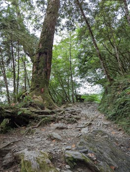 产能博弈与资源锁定:盛新锂能全资控股木绒锂矿的深层逻辑解析 企业服务