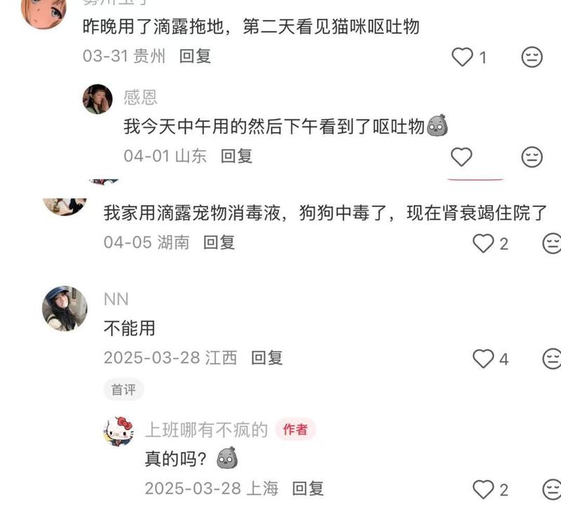  当消毒成为伤害：一位铲屎官用五条生命换来的教训 情感心理 当消毒成为伤害：一位铲屎官用五条生命换来的教训 情感心理