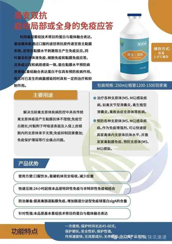  【技术解密】生殖性滑液囊支原体发病规律与精准防控方案 新闻 【技术解密】生殖性滑液囊支原体发病规律与精准防控方案 新闻