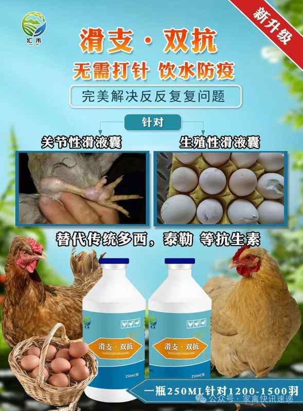  【技术解密】生殖性滑液囊支原体发病规律与精准防控方案 新闻 【技术解密】生殖性滑液囊支原体发病规律与精准防控方案 新闻