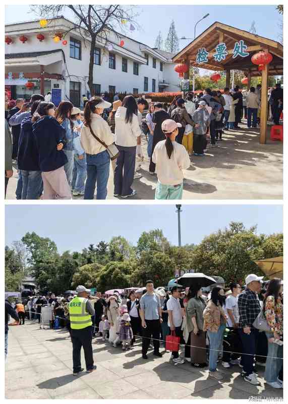  南湾湖景区清明运营全复盘：数据拆解下的山水景区高效管理方法论 文化旅游