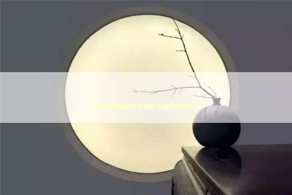 深度网络安全技术剖析与独特价值探索