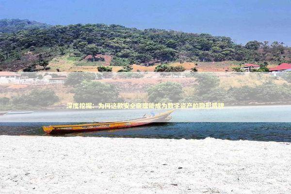 深度挖掘：为何这款安全底座能成为数字资产的隐形盾牌