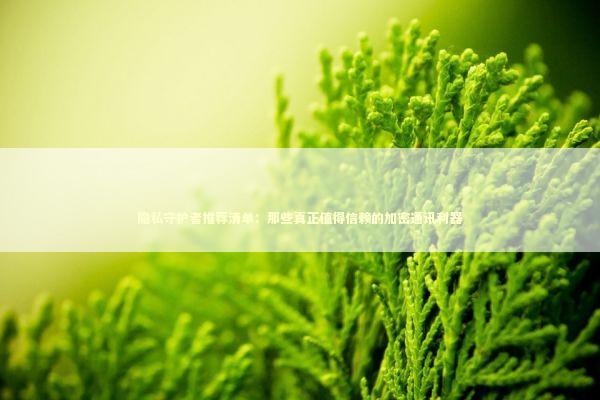 隐私守护者推荐清单：那些真正值得信赖的加密通讯利器