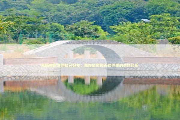 从陌生网友到知己好友：我在加密聊天软件里的奇妙经历 IT技术