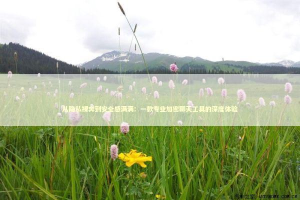 从隐私裸奔到安全感满满：一款专业加密聊天工具的深度体验 IT技术
