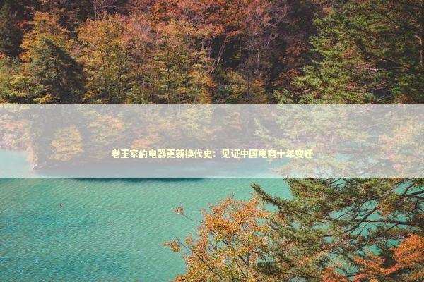 老王家的电器更新换代史：见证中国电商十年变迁 家电市场