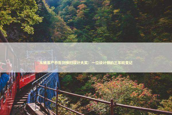 从被客户秒拒到横扫设计大奖：一位设计师的三年蜕变记 IT技术