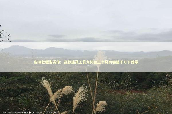 实测数据告诉你：这款通讯工具为何在三个月内突破千万下载量 IT技术
